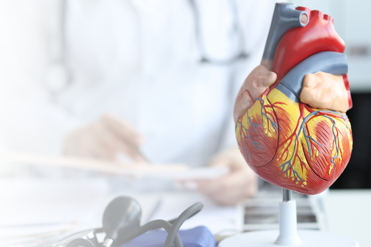 Kardiologie Augsburg - Facharzt-Termine innerhalb von 5 Werktagen